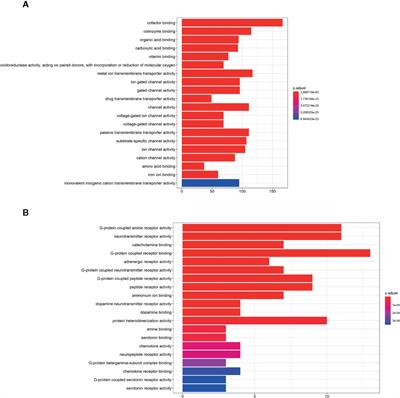 Kunxian Capsule for Rheumatoid Arthritis: Inhibition of Inflammatory Network and Reducing Adverse Reactions Through Drug Matching